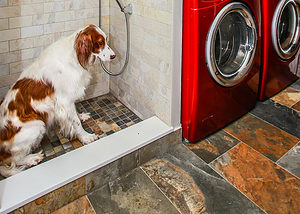 Laundry room with dog shower - Total Living Concepts barrie ontario