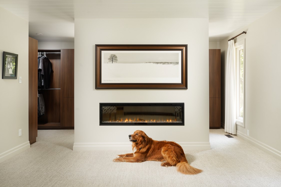Dog in front of a fireplace